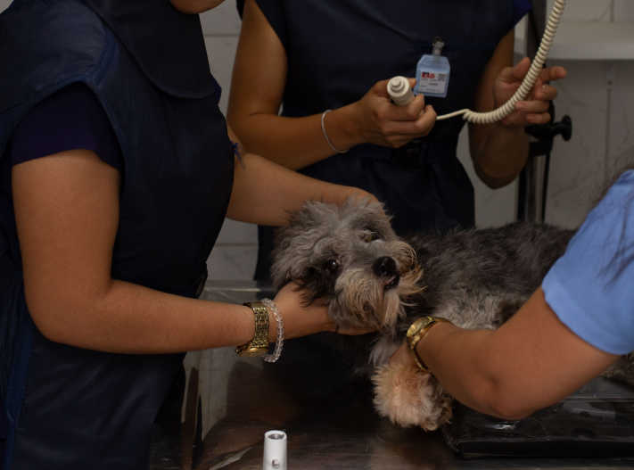 clinica-04